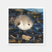 Niedliche Sanderling Sandpiper Shorebird Dines on  Serviette (Vorderseite)