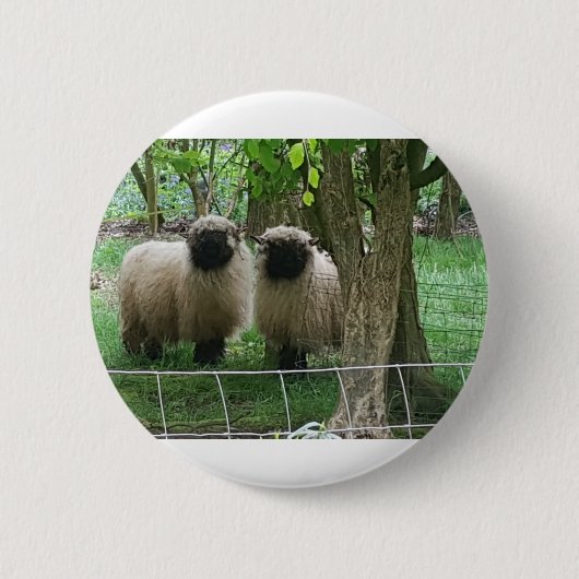 Niedliche Schafe Button (Vorderseite)