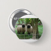 Niedliche Schafe Button (Vorne & Hinten)