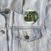 Niedliche Schafe Button (Beispiel)