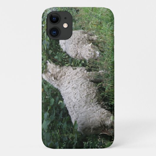 Niedliche Schafe essen Blätter iPhone Case (Rückseite)