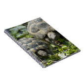 Niedliche Schildkröten Notizblock (Rechte Seite)