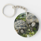 Niedliche Schildkröten Schlüsselanhänger (Vorderseite)
