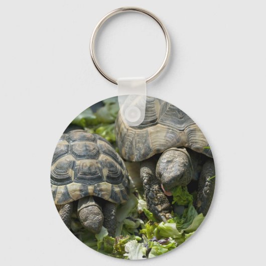 Niedliche Schildkröten Schlüsselanhänger (Vorderseite)