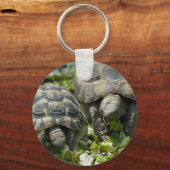 Niedliche Schildkröten Schlüsselanhänger (Vorderseite)