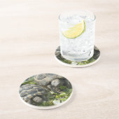 Niedliche Schildkröten Untersetzer (Seite)