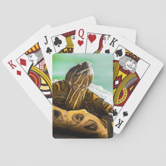 Niedliche Schildkrötenspielkarten Spielkarten (Rückseite)