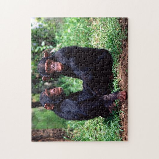Niedliche Schimpansen, Jigsaw Puzzle (Vertikal)