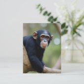 Niedliche Schimpfpostkarte Postkarte (Stehend Vorderseite)