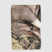NIEDLICHE SCHLACHTSCHWEINE GOLFHANDTUCH (Vorderseite)