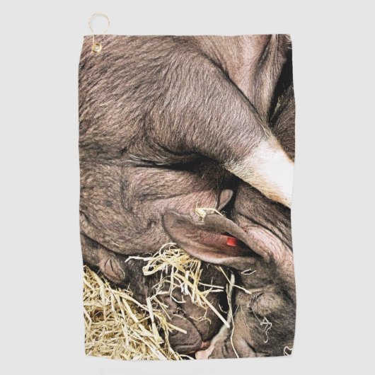 NIEDLICHE SCHLACHTSCHWEINE GOLFHANDTUCH (Vorderseite)