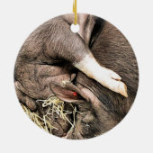 NIEDLICHE SCHLACHTSCHWEINE KERAMIK ORNAMENT (Hinten)