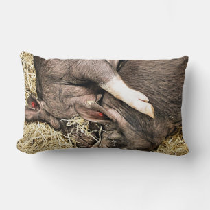 NIEDLICHE SCHLACHTSCHWEINE LENDENKISSEN