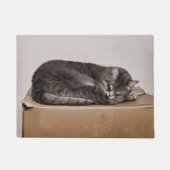 Niedliche Schlachtung mit Tabby Fußmatte (Vorderseite)