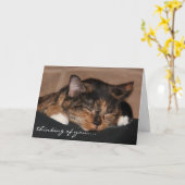 Niedliche Schlafenkatzen-Karte, denkend an Sie… Karte (Gelbe Blume)