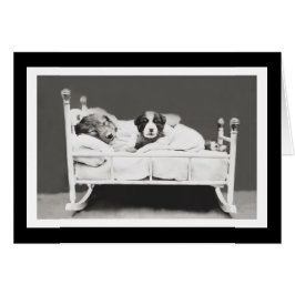 Niedliche Schlafhunde von Harrier Whittier Frees