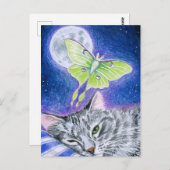 Niedliche Schlafkatze mit Luna Moth, Mondpostkarte Postkarte (Vorne/Hinten)