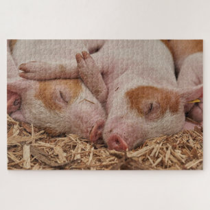 Niedliche Schlafschweine Puzzle