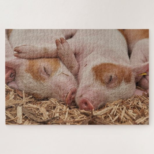 Niedliche Schlafschweine Puzzle (Horizontal)
