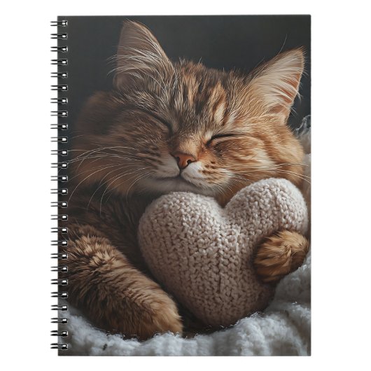 NIEDLICHE SCHLAFTABBYKATTE MIT HERZPILLOW NOTIZBLOCK (Vorderseite)