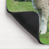 Niedliche schlammige Lamm-Baby-Schafe in der Wiese Mousepad (Ecke)