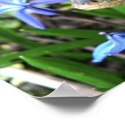 Niedliche Schlange Poster (Ecke)