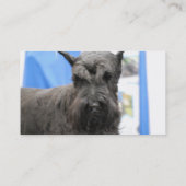 Niedliche Schnauzer-Geschäfts-Karten Visitenkarte (Rückseite)