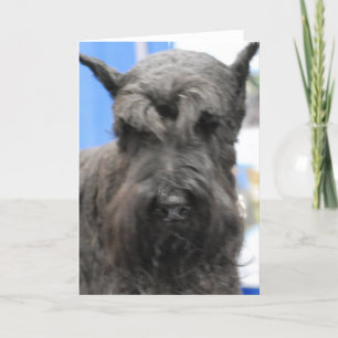 Niedliche Schnauzer-Gruß-Karten Karte