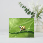 Niedliche Schnecke im Regen Postkarte (Stehend Vorderseite)