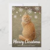Niedliche Schneeflocken Foto Cat Meowy Weihnachten (Vorderseite)