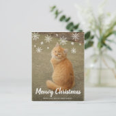 Niedliche Schneeflocken Foto Cat Meowy Weihnachten (Stehend Vorderseite)