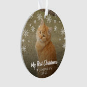 Niedliche Schneeflocken Foto Katzenwelse Ornament (Vorderseite)