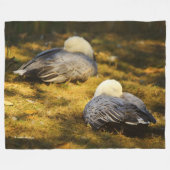 Niedliche Schneegänse träumen in der Sommersonne Fleecedecke (Vorderseite (Horizontal))