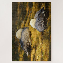 Niedliche Schneegänse träumen in der Sommersonne Puzzle