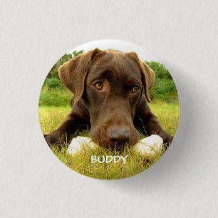 Niedliche Schokolade Labrador Custom Button