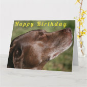 Niedliche Schokolade Labrador Hund - Happy Birthda Karte (Gelbe Blume)