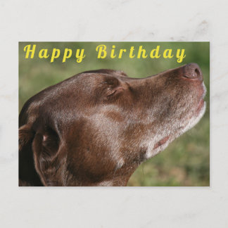 Niedliche Schokolade Labrador Hund - Happy Birthda Postkarte