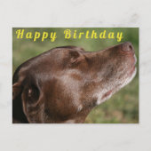 Niedliche Schokolade Labrador Hund - Happy Birthda Postkarte (Vorderseite)