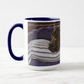 Niedliche Schokolade Labrador Retriever auf dem Li Tasse (Links)