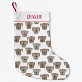 Niedliche Schokolade Labrador Retriever Dog Indivi Kleiner Weihnachtsstrumpf (Vorderseite)