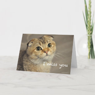 Niedliche Schottenfalte fehlt Karte