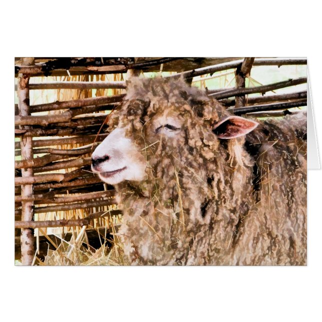 NIEDLICHE SCHUHE (Vorderseite (Horizontal))