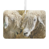 NIEDLICHE SCHUHE AUTOLUFTERFRISCHER (Rückseite)