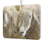 NIEDLICHE SCHUHE AUTOLUFTERFRISCHER (Links)