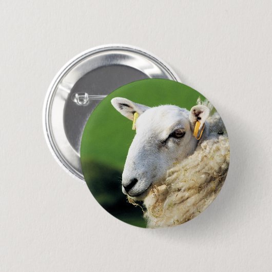 NIEDLICHE SCHUHE BUTTON (Vorne & Hinten)