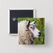 NIEDLICHE SCHUHE BUTTON (Vorne & Hinten)