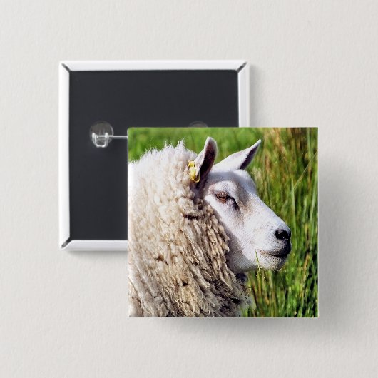 NIEDLICHE SCHUHE BUTTON (Vorne & Hinten)