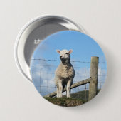 NIEDLICHE SCHUHE BUTTON (Vorne & Hinten)