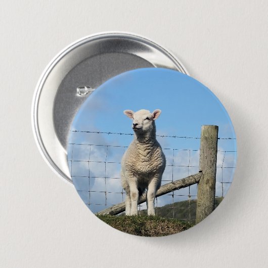 NIEDLICHE SCHUHE BUTTON (Vorne & Hinten)