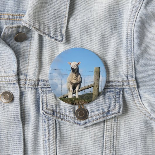 NIEDLICHE SCHUHE BUTTON (Beispiel)